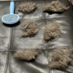 Hair Remover Brush Dog and Cat Non-slip Beauty Brush Dog Grooming Equipment Pets Stainless Steel For Dogs Pet Hair Removal Comb photo review